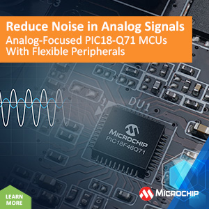 Microchip